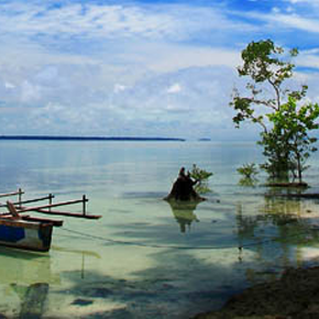 Photography From Biak